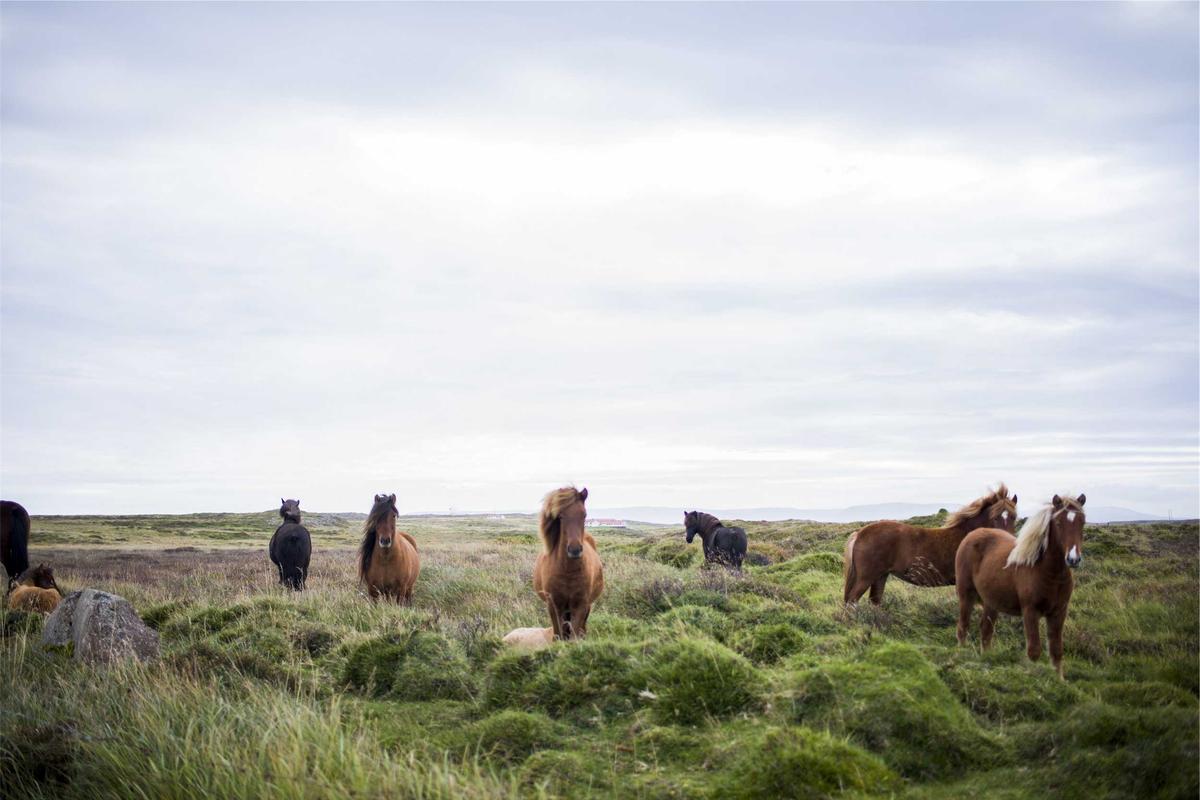 Conseillère du service client Studio Billetterie au téléphone avec un spectateur